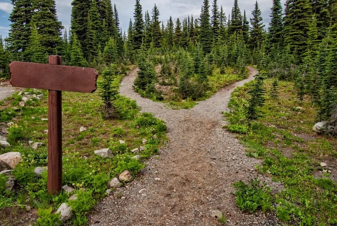 Two paths going into a woodland (picture for What's the difference between ETL and ELT in data processing blog)